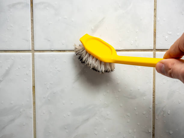 Best Attic Mold Removal  in Everett, MA