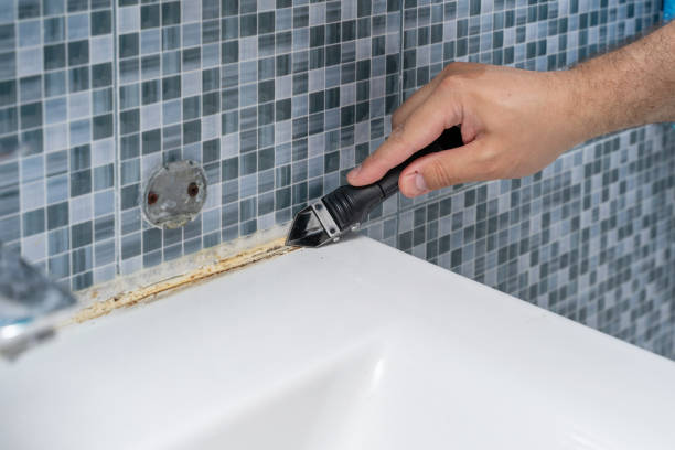 Best Mold Cleaning Services  in Everett, MA
